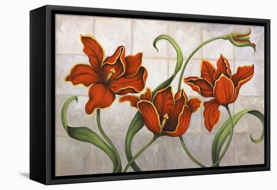 Parrot Tulips-John Zaccheo-Framed Stretched Canvas