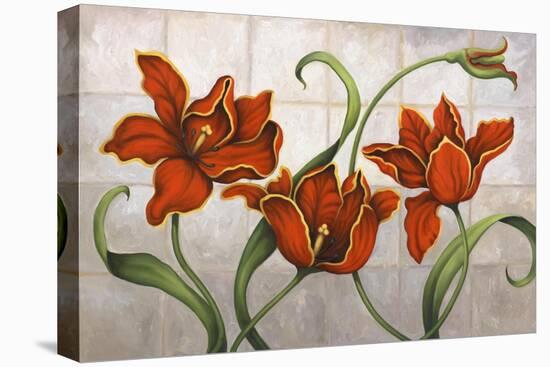 Parrot Tulips-John Zaccheo-Stretched Canvas