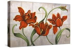 Parrot Tulips-John Zaccheo-Stretched Canvas