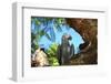 Parrot-benshots-Framed Photographic Print