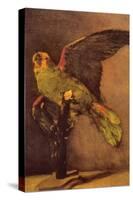 Parrot-Vincent van Gogh-Stretched Canvas