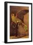 Parrot-Vincent van Gogh-Framed Art Print