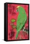 Parrot-Rocket 68-Framed Stretched Canvas