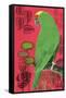 Parrot-Rocket 68-Framed Stretched Canvas