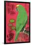 Parrot-Rocket 68-Framed Giclee Print