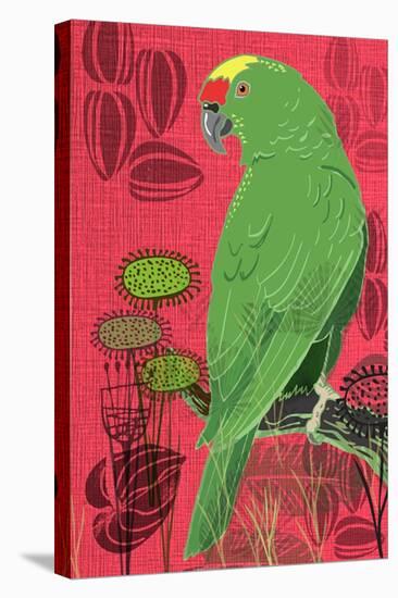 Parrot-Rocket 68-Stretched Canvas