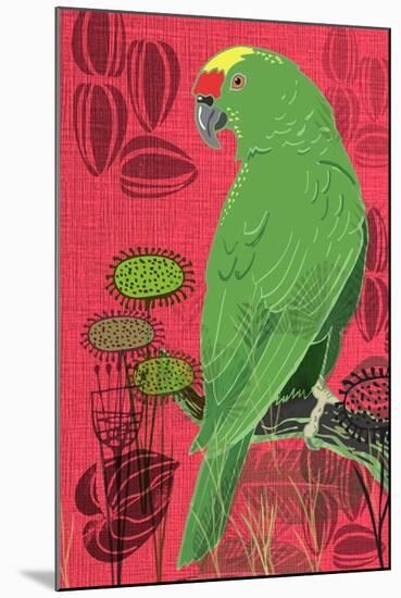 Parrot-Rocket 68-Mounted Giclee Print