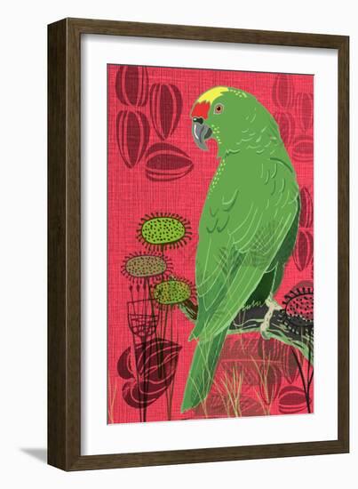 Parrot-Rocket 68-Framed Giclee Print