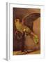 Parrot-Vincent van Gogh-Framed Art Print