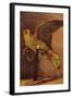 Parrot-Vincent van Gogh-Framed Art Print