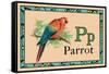 Parrot-null-Framed Stretched Canvas