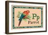 Parrot-null-Framed Art Print