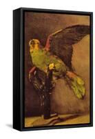Parrot-Vincent van Gogh-Framed Stretched Canvas