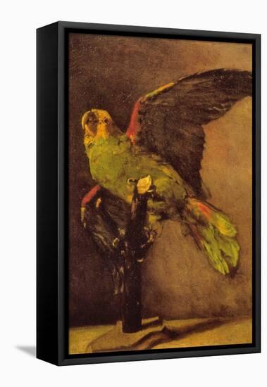 Parrot-Vincent van Gogh-Framed Stretched Canvas