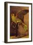 Parrot-Vincent van Gogh-Framed Art Print