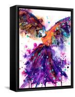 Parrot-Emma Catherine Debs-Framed Stretched Canvas