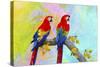 Parrots 87A-Ata Alishahi-Stretched Canvas