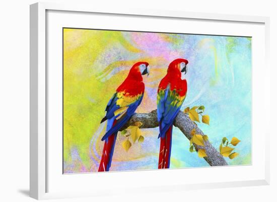 Parrots 87A-Ata Alishahi-Framed Giclee Print