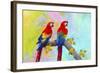 Parrots 87A-Ata Alishahi-Framed Giclee Print