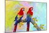 Parrots 87A-Ata Alishahi-Mounted Giclee Print