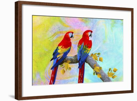 Parrots 87A-Ata Alishahi-Framed Giclee Print