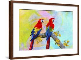 Parrots 87A-Ata Alishahi-Framed Giclee Print