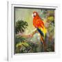 Parrots at Bay I-Jane Slivka-Framed Art Print