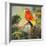Parrots at Bay I-Jane Slivka-Framed Premium Giclee Print