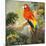 Parrots at Bay I-Jane Slivka-Mounted Premium Giclee Print