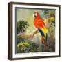 Parrots at Bay I-Jane Slivka-Framed Art Print