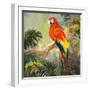 Parrots at Bay I-Jane Slivka-Framed Art Print