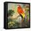 Parrots at Bay I-Jane Slivka-Framed Stretched Canvas