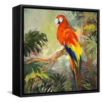 Parrots at Bay I-Jane Slivka-Framed Stretched Canvas