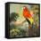 Parrots at Bay I-Jane Slivka-Framed Stretched Canvas