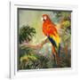 Parrots at Bay I-Jane Slivka-Framed Art Print