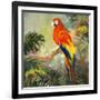 Parrots at Bay I-Jane Slivka-Framed Art Print