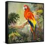 Parrots at Bay I-Jane Slivka-Framed Stretched Canvas