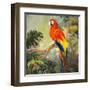 Parrots at Bay I-Jane Slivka-Framed Art Print