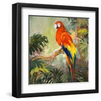 Parrots at Bay I-Jane Slivka-Framed Art Print