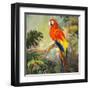 Parrots at Bay I-Jane Slivka-Framed Art Print