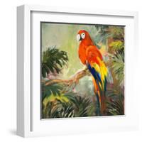 Parrots at Bay I-Jane Slivka-Framed Art Print