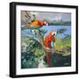 Parrots at Bay II-Jane Slivka-Framed Premium Giclee Print