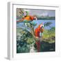 Parrots at Bay II-Jane Slivka-Framed Premium Giclee Print