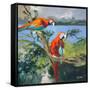 Parrots at Bay II-Jane Slivka-Framed Stretched Canvas