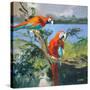 Parrots at Bay II-Jane Slivka-Stretched Canvas