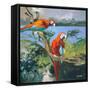 Parrots at Bay II-Jane Slivka-Framed Stretched Canvas