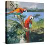 Parrots at Bay II-Jane Slivka-Stretched Canvas