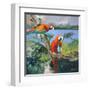 Parrots at Bay II-Jane Slivka-Framed Art Print