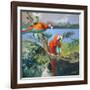 Parrots at Bay II-Jane Slivka-Framed Art Print