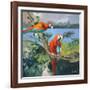 Parrots at Bay II-Jane Slivka-Framed Art Print